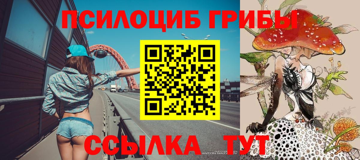 Псилоцибиновые грибы Psilocybine cubensis Сертолово